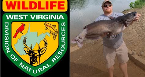 Wv Angler Catches State Record Channel Catfish 2 Years In A Row