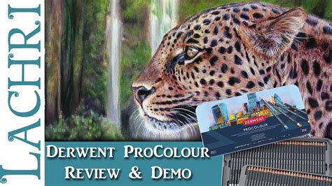 Derwent Procolour Colored Pencil Review And Leopard Demo W Lachri