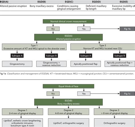 Classification Of Excessive Gingival Display Egd Based On Etiology Download Table