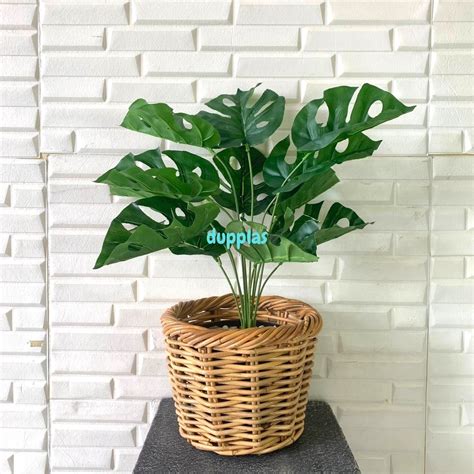 Jual Pohon Daun Monstera X12 Semi Latex Artificial Cover Pot Rotan