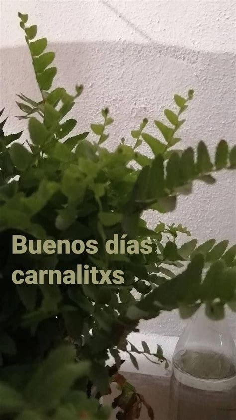 Pin Von Mildred Medina Cardenas Auf Historias De Instagram