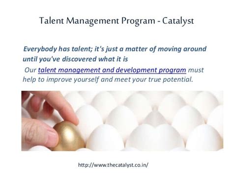 Talent Management Program