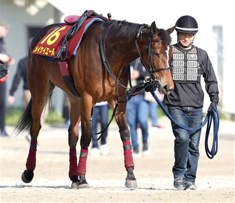 【注目馬動向】ヴィクトリアm回避のメイケイエールは安田記念目標 武英調教師「すごく回復が早い」 Umatoku 馬トク