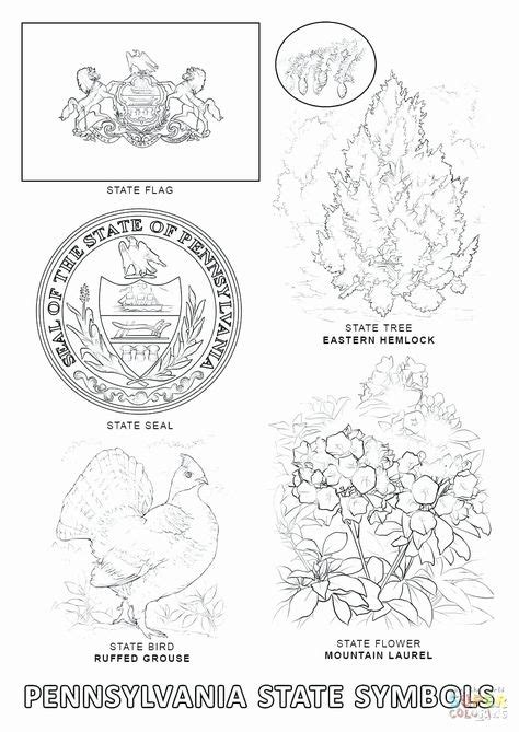 Pennsylvania State Bird Coloring Page Unique Scientific Notation