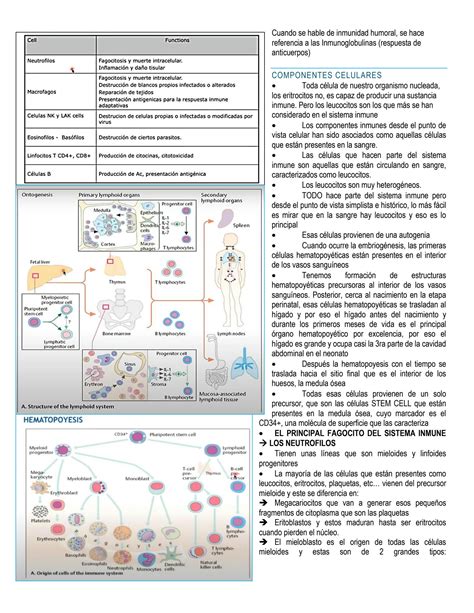 Solution Generalidades De Inmunologia Studypool