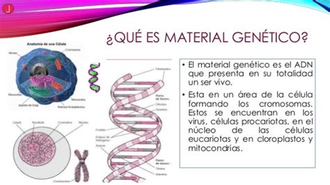 Cronograma Sobre Los Principales Descubrimientos De La Ciencia