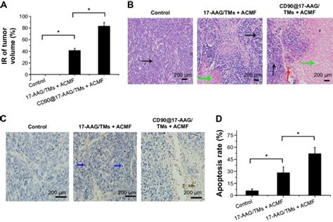 Inhibition Of The Growth Of Tumor In Bel 7404 Cell Bearing Mice By Download Scientific Diagram