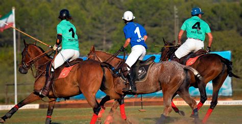 Equestrian Sports And Games Polo Ampascachi