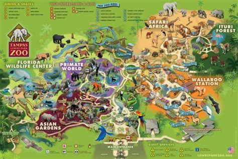 Tampa Lowry Park Zoo Map