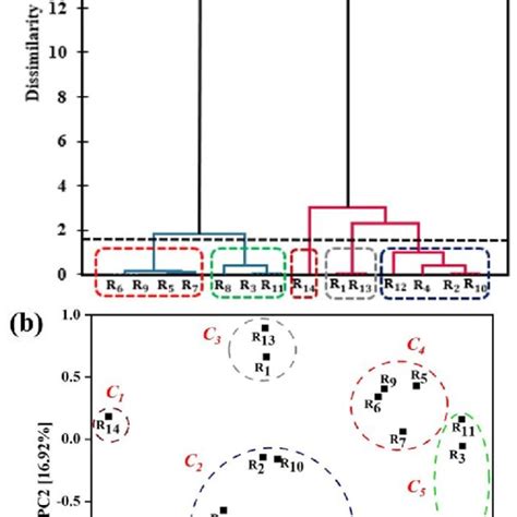 A Dendrogram Of Hca On Different Rap Sources And B Pca Score Plot Download Scientific