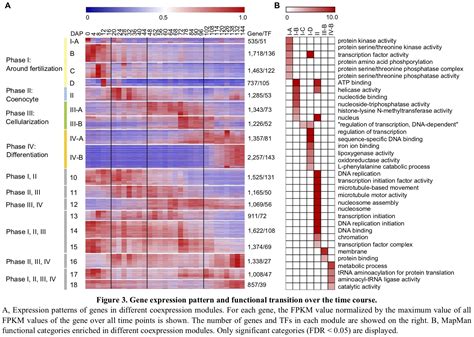 High Temporal Resolution Transcriptome Landscap