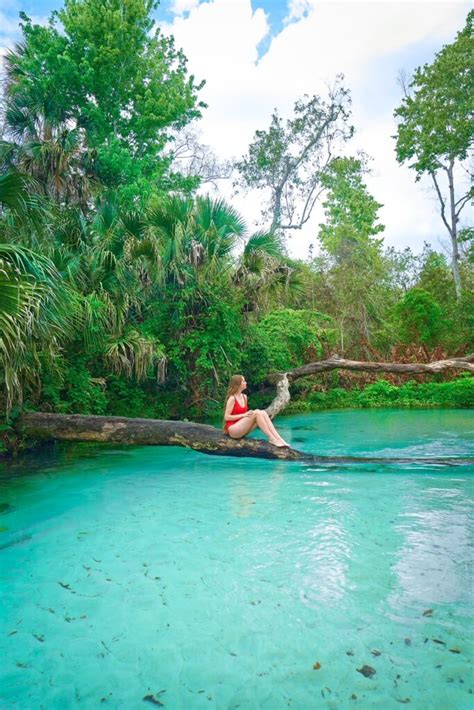 Kings Landing Florida Kayaking Crystal Clear Emerald Cut Florida