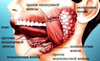 Болит шея спереди по бокам с левой и правой стороны под челюстью