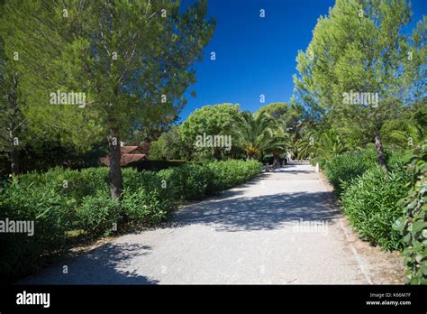 Parc Areca Jarden Botanique Hi Res Stock Photography And Images Alamy