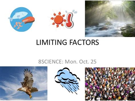 What Are 3 Examples Of Limiting Factors