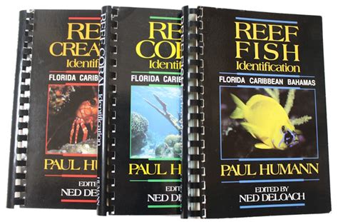 Reef Fish Identification And Reef Creatures Identification And Reef