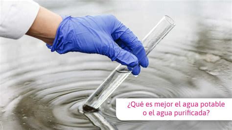 Conoce Las Diferencias Entre Agua Potable Y Agua Purificada