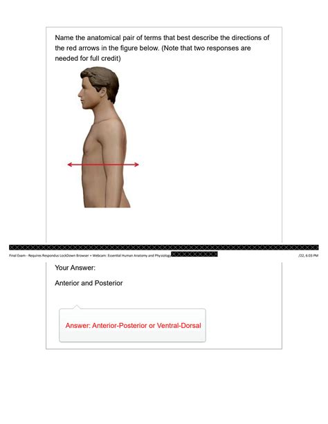 SOLUTION Biod 151 Final Exam Anatomy And Physiology 1 New With 35 Q A