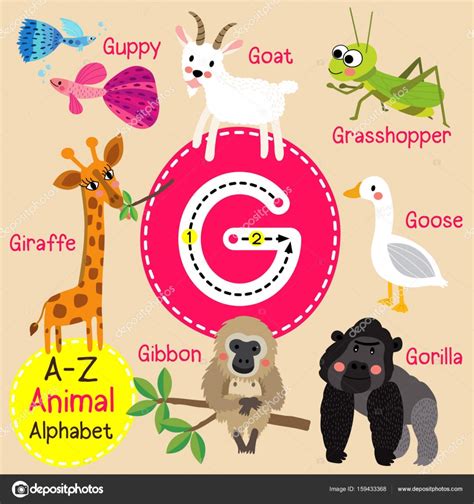 Nomes De Animal Com G - Cute children zoo alphabet G letter tracing of funny animal cartoon for ...