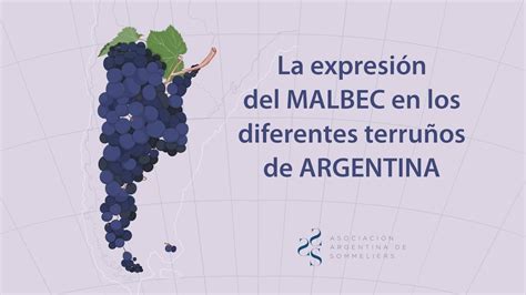 La Expresi N Del Malbec En Los Diferentes Terru Os De Argentina Youtube