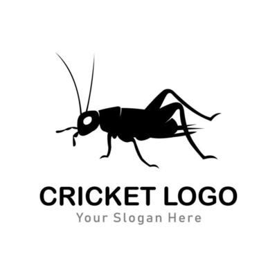 Cricket Bug Vector Art, Icons, and Graphics for Free Download