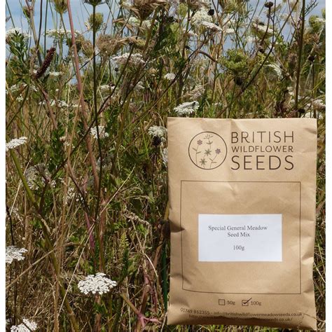 Special Meadow Mix | Wildflower Seed Packets | British Wildflower Seeds ...