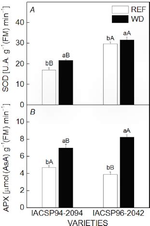 Activity Of Superoxide Dismutase Sod A And Ascorbate Peroxidase