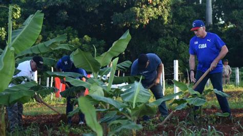 Participa Díaz Canel en trabajo voluntario por el 26 de Julio 5