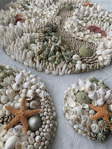 Seashell Wall Mosaic Deep Sea Coralreef Natural Sea Shells Urchins