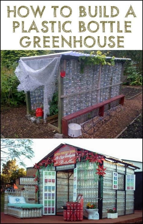 DIY Plastic Bottle Greenhouse In 6 Easy Steps Plastic Bottle