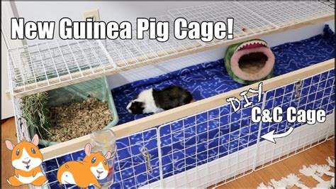 20 Homemade DIY Guinea Pig Cage Ideas