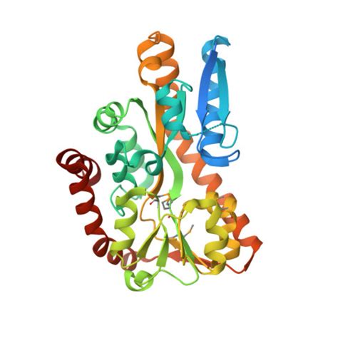 Rcsb Pdb Pfi Crystal Structure Of A Trap Periplasmic Solute Binding