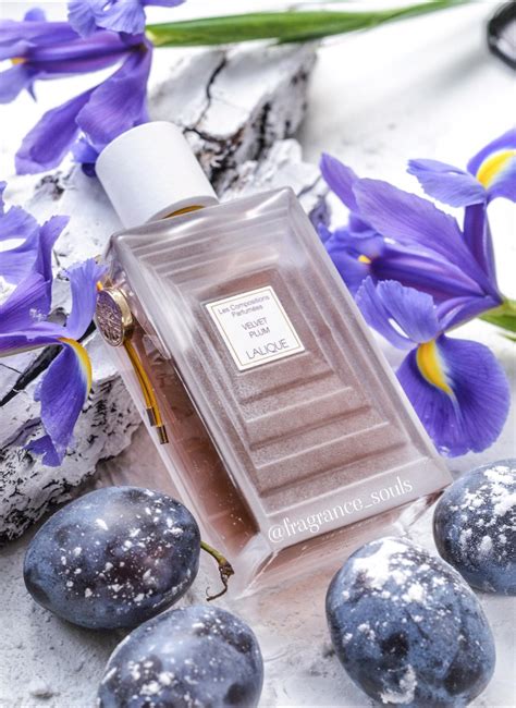 Velvet Plum Lalique Perfume A Fragrance For Women 2019