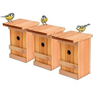 Wildtier Herz I Vogel Nistkasten Rotkehlchen Aus Massiv Holz X