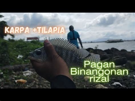 Karpa At Tilapia Meron Narin Sa Pagan Mga Insan Youtube