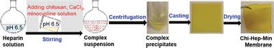Synthesis and Evaluation of Chitosan‐Heparin‐Minocycline Composite ... 