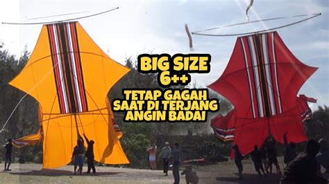 BEBEAN BIG SIZE MENGUDARA DI PANTAI MERTASARI 6 JULI 2022 SANUR BALI