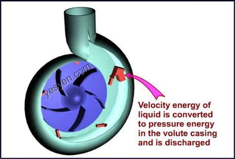 Centrifugal Pump Working Principle | theory Diy Water Pump, Water Pumps ...