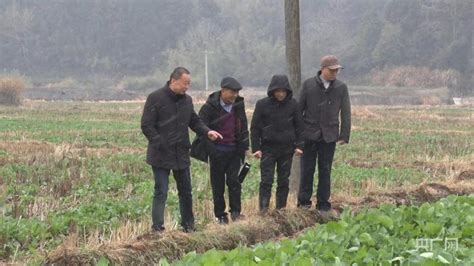 农技专家到田间 为越冬油菜加“油”央广网