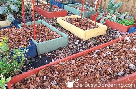 9 Best Mulches For Your Vegetable Garden Beds Get Busy Gardening