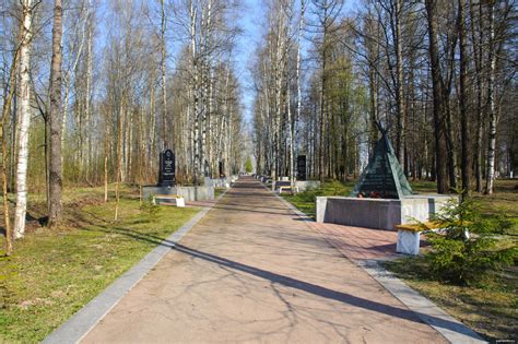 Синявинские высоты (17 фото) - Блог / Заметки - Фотографии и ...