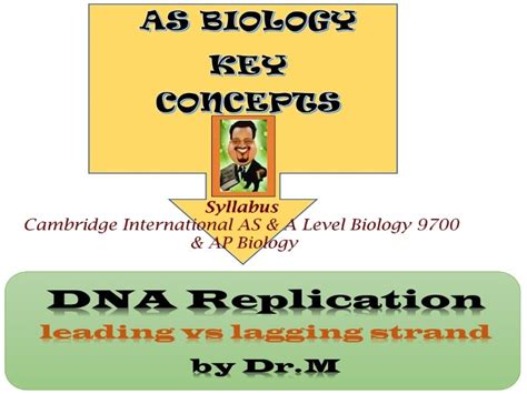 Dna Replication Leading Vs Lagging Strand Diagram Teaching Resources