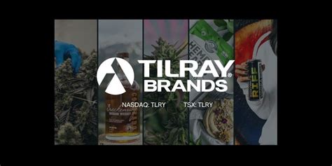 tilray brands nasdaq tlry delivers record  fiscal  net