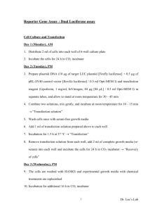 Luciferase Assay Protocol