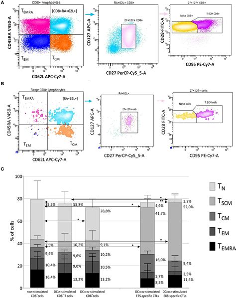 Frontiers Cytotoxic Activity And Memory T Cell Subset Distribution Of