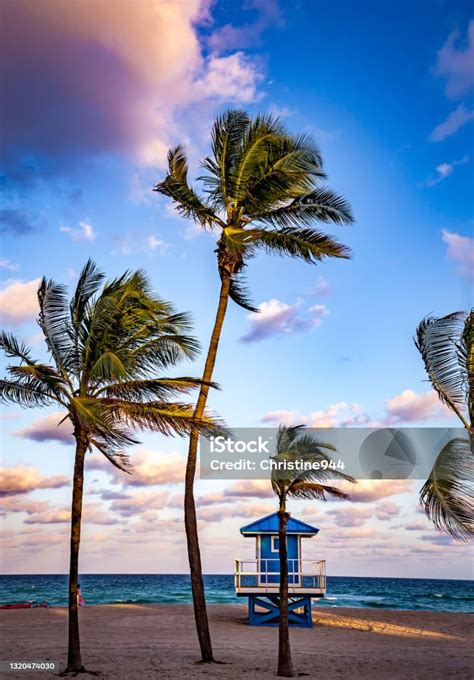 Hollywood Beach Hollywood Florida Usa Stock Photo - Download Image Now - Hollywood - Florida ...