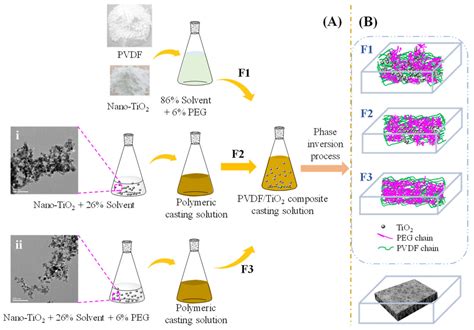 Membranes Free Full Text Preparation Of Nano Tio Modified Pvdf