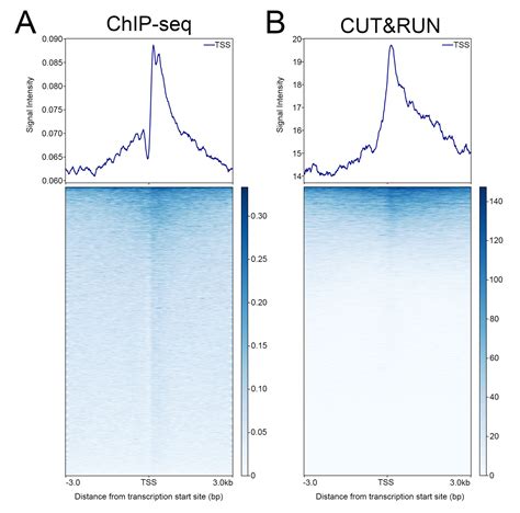 Histone H3K27me3 Antibody, SNAP-ChIP® Certified, CUTANA™ CUT&RUN ...