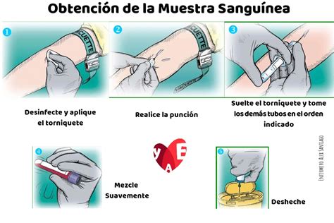 Toma De Muestras De Laboratorio Tubos Colores Y Usos