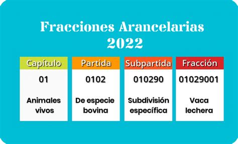 Catálogo Fracciones Arancelarias Sat 2022 Te 5 Soluciones Empresariales En Ti